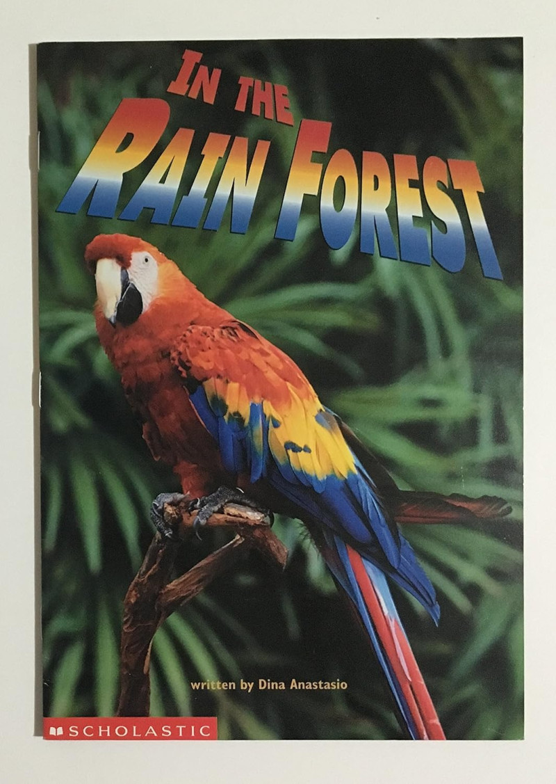 Cover of In the Rain Forest