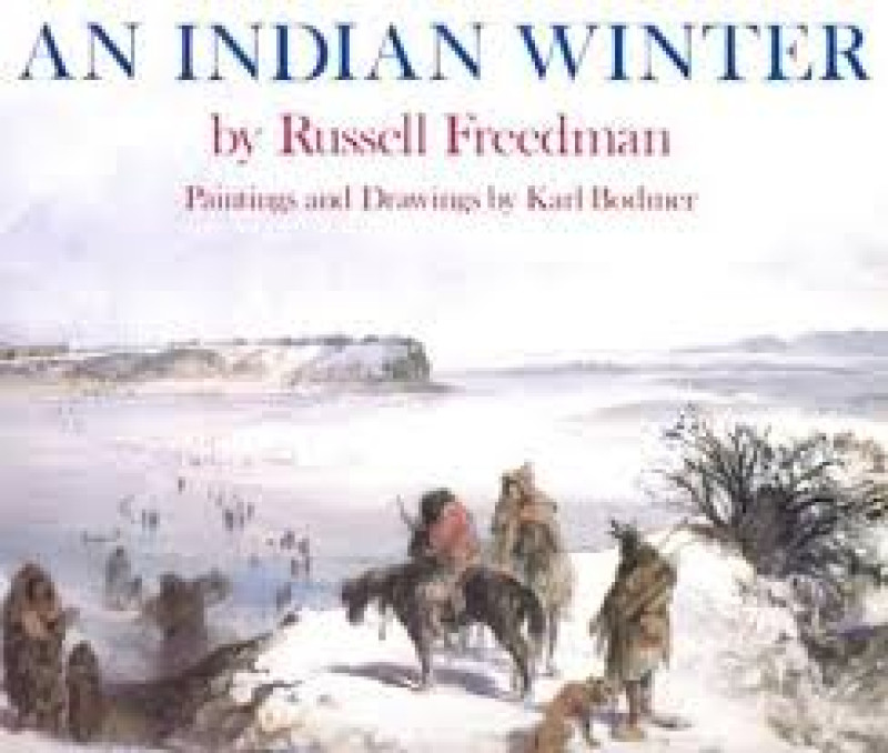 Cover of An Indian Winter