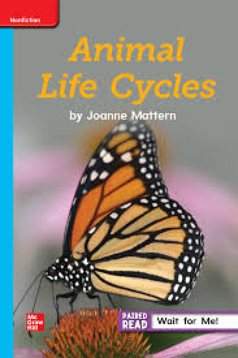 Cover of Animal Life Cycles