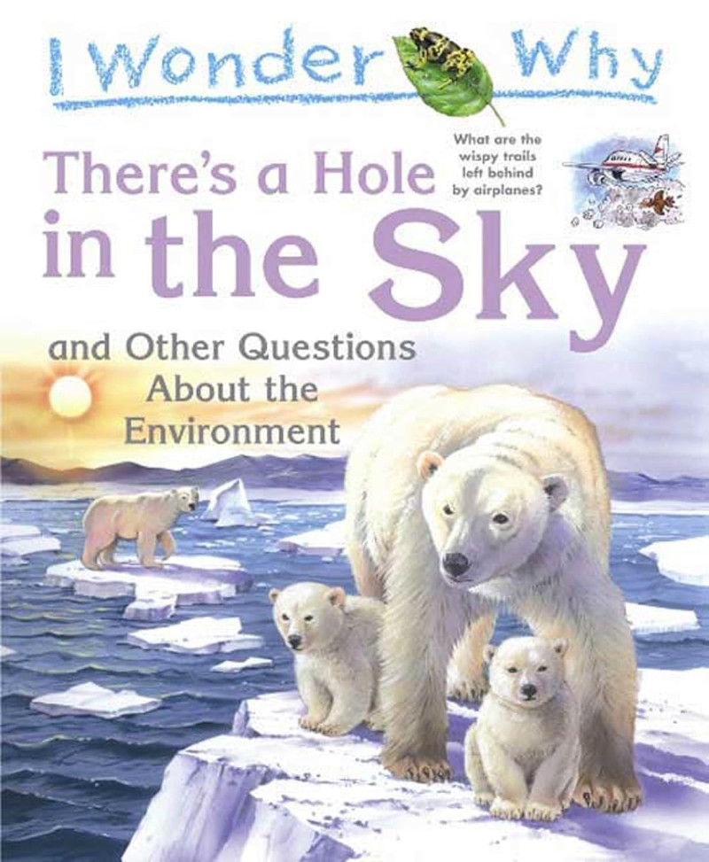 Cover of I Wonder Why There's a Hole in the Sky and Other Questions about the Environment