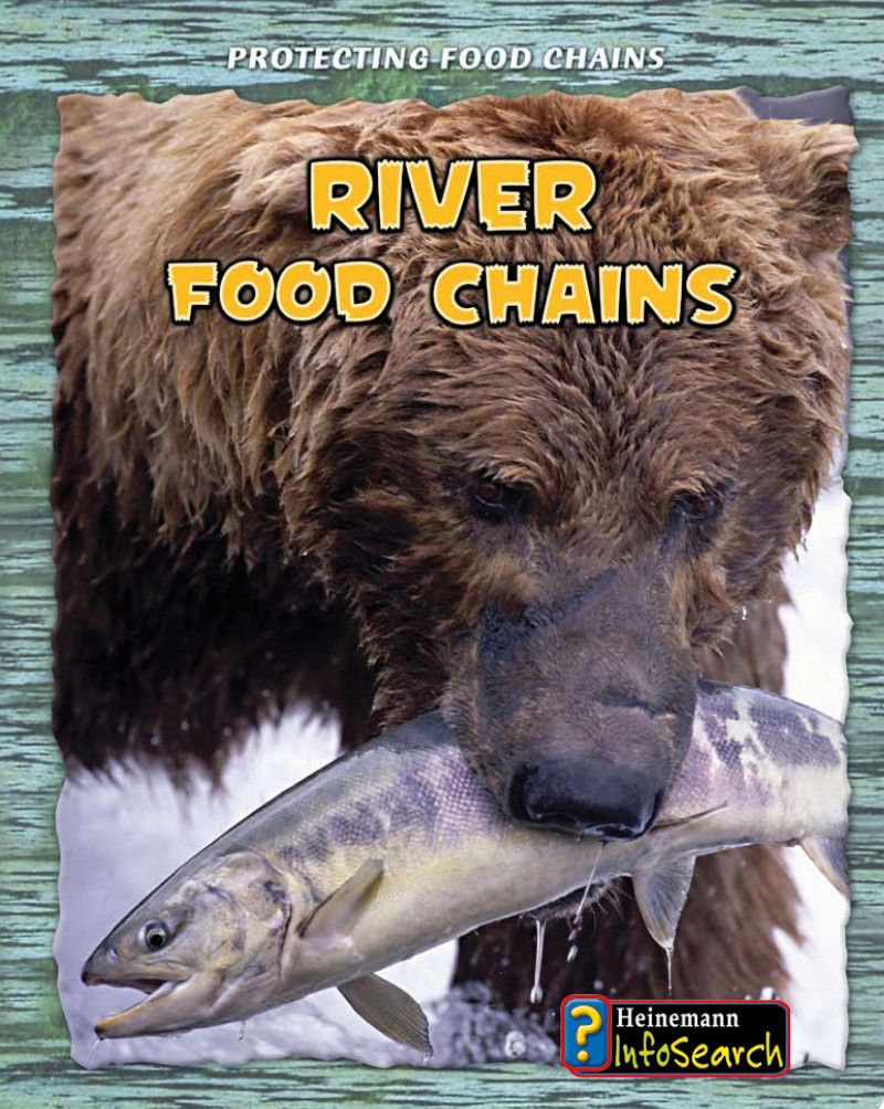 Cover of River Food Chains