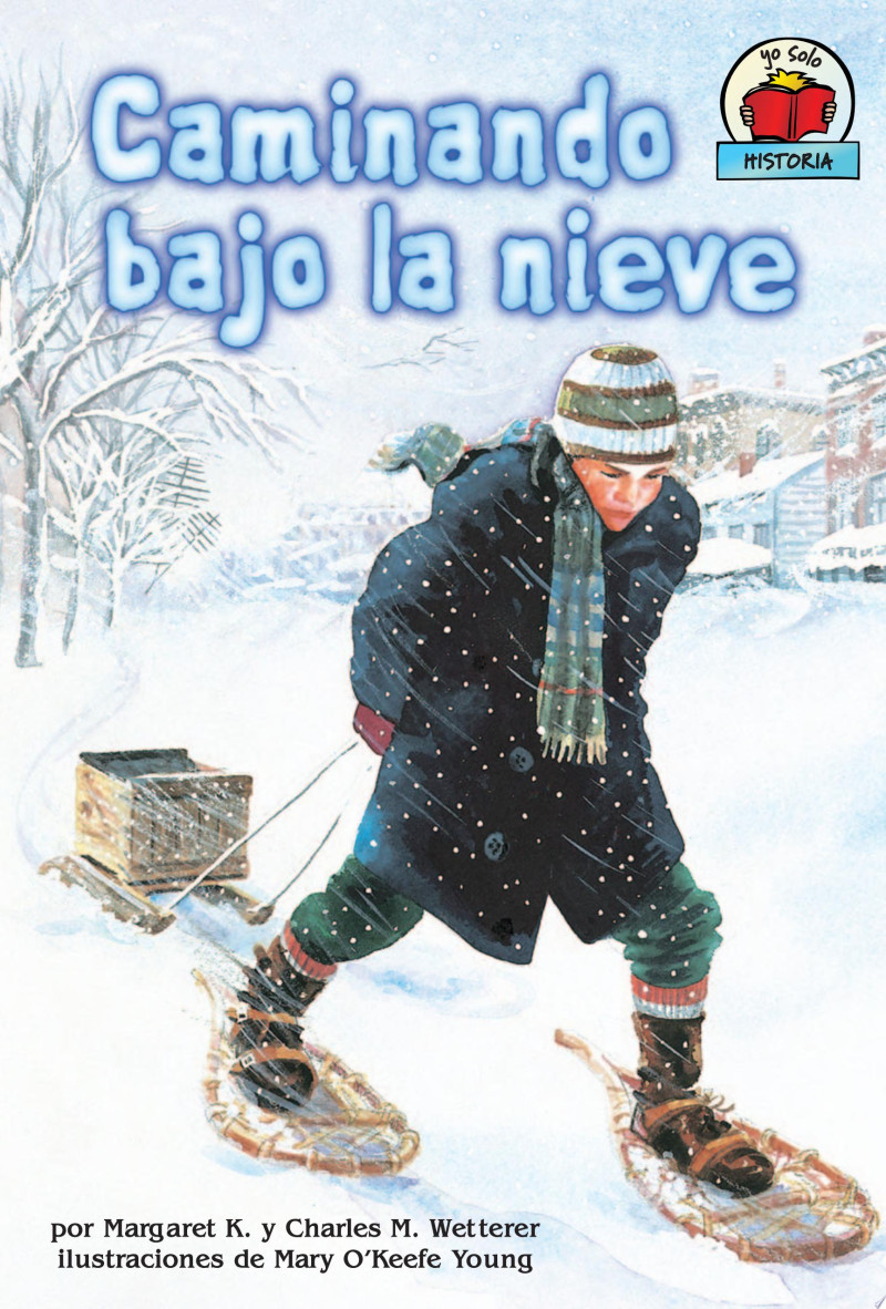 Cover of Caminando bajo la nieve (The Snow Walker)