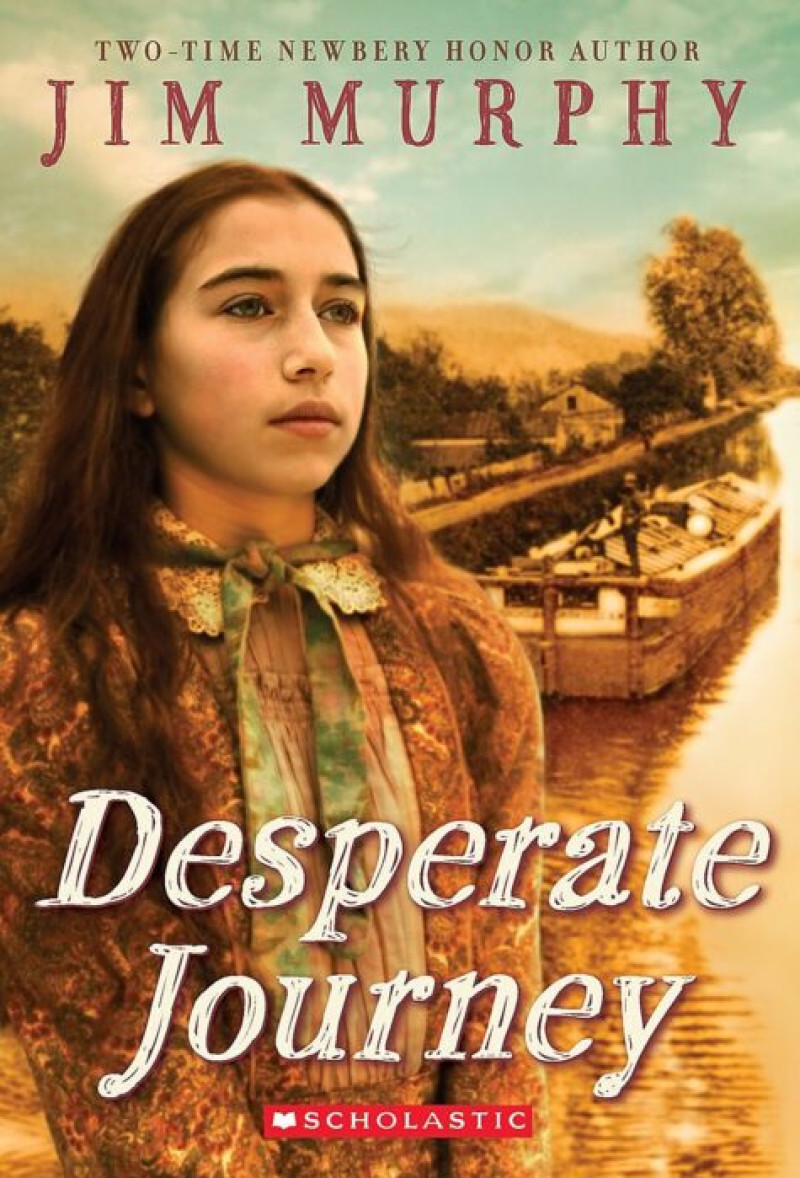 Cover of Desperate Journey
